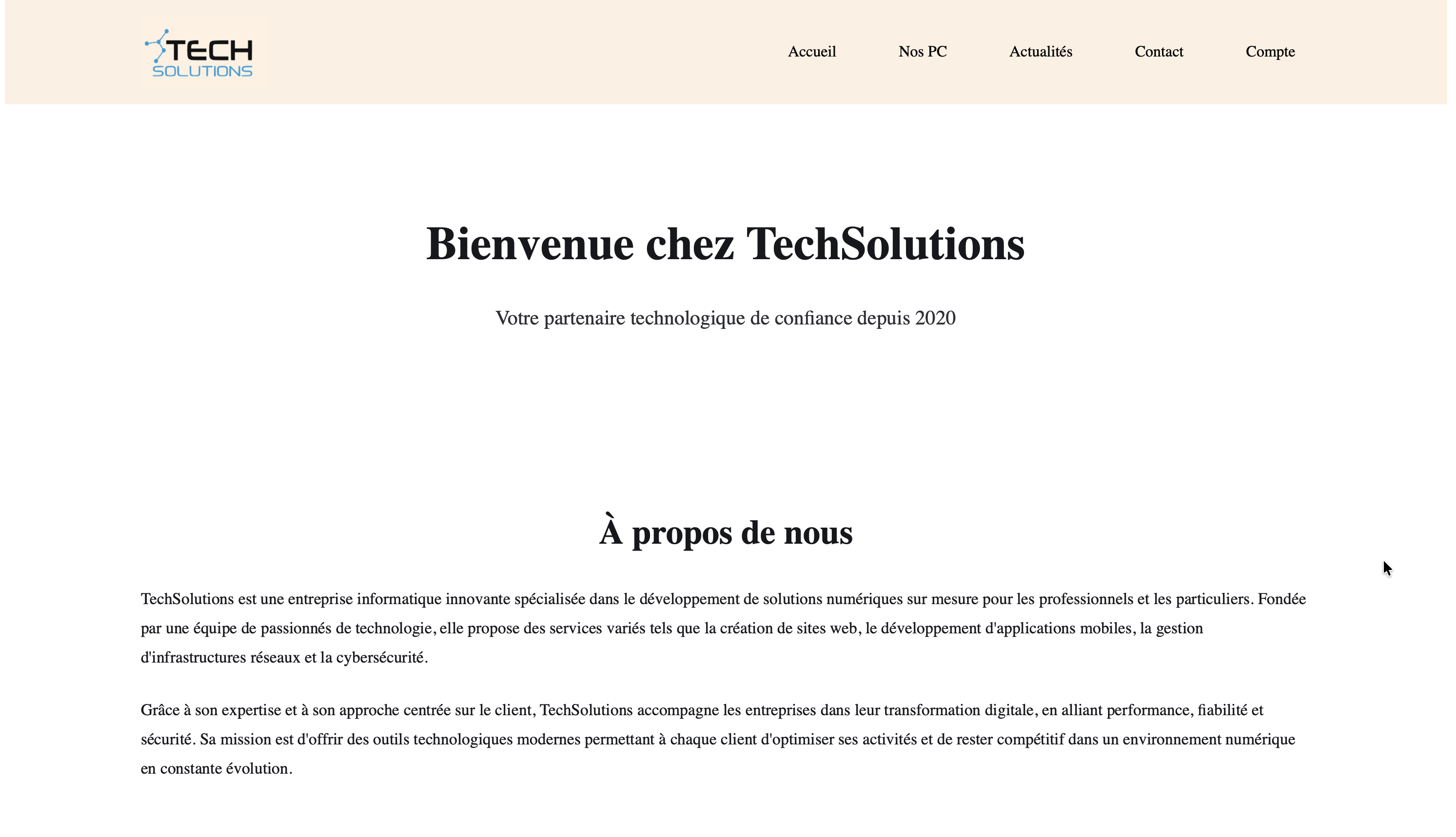 Aperçu 3 de TechSolutions